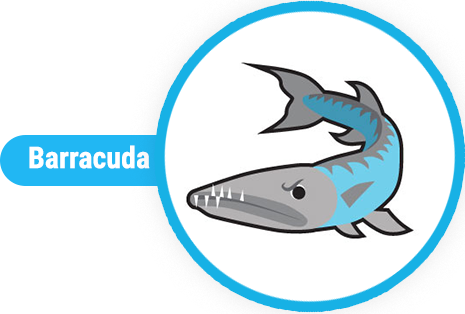 icon barracuda
